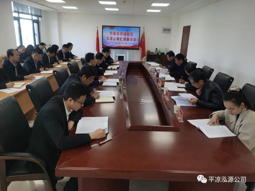 市委辦公室、市政府國資委督查泓源公司工作(圖4)